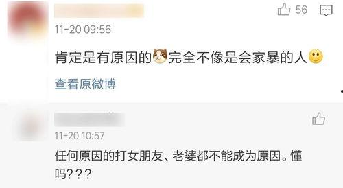 明星家暴爆料热搜视频播放,网络暴力下的家庭悲剧  第3张